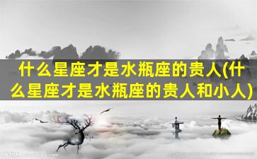 什么星座才是水瓶座的贵人(什么星座才是水瓶座的贵人和小人)