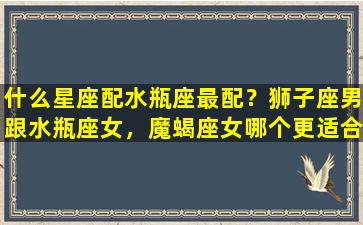 什么星座配水瓶座最配？狮子座男跟水瓶座女，魔蝎座女哪个更适合