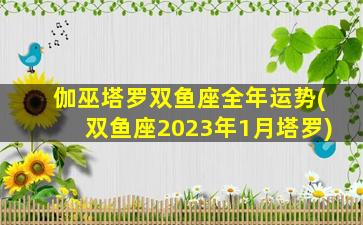 伽巫塔罗双鱼座全年运势(双鱼座2023年1月塔罗)