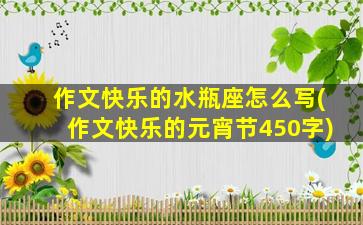 作文快乐的水瓶座怎么写(作文快乐的元宵节450字)