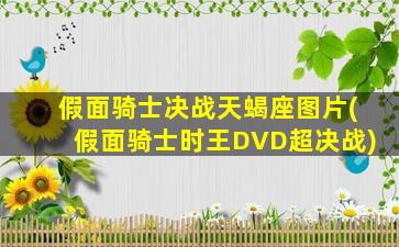 假面骑士决战天蝎座图片(假面骑士时王DVD超决战)