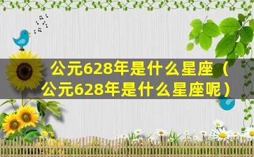 公元628年是什么星座（公元628年是什么星座呢）