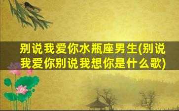 别说我爱你水瓶座男生(别说我爱你别说我想你是什么歌)