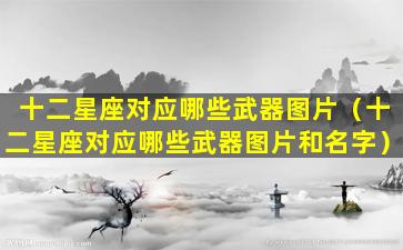 十二星座对应哪些武器图片（十二星座对应哪些武器图片和名字）