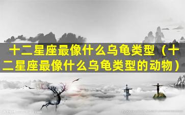 十二星座最像什么乌龟类型（十二星座最像什么乌龟类型的动物）