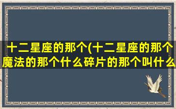 十二星座的那个(十二星座的那个魔法的那个什么碎片的那个叫什么)