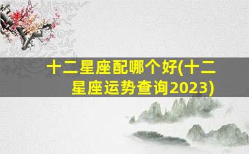 十二星座配哪个好(十二星座运势查询2023)