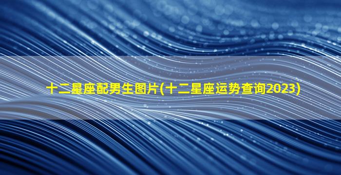 十二星座配男生图片(十二星座运势查询2023)