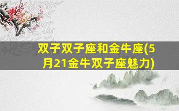 双子双子座和金牛座(5月21金牛双子座魅力)