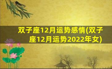 双子座12月运势感情(双子座12月运势2022年女)