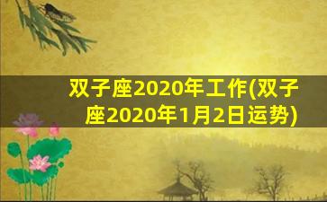 双子座2020年工作(双子座2020年1月2日运势)