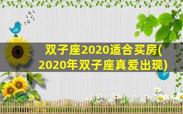 双子座2020适合买房(2020年双子座真爱出现)