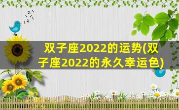 双子座2022的运势(双子座2022的永久幸运色)