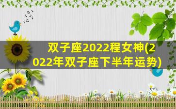 双子座2022程女神(2022年双子座下半年运势)