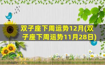 双子座下周运势12月(双子座下周运势11月28日)