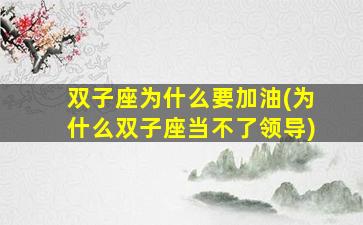 双子座为什么要加油(为什么双子座当不了领导)