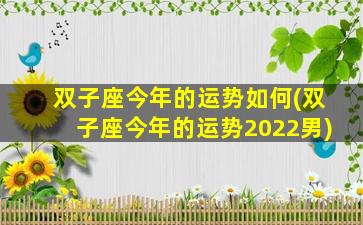 双子座今年的运势如何(双子座今年的运势2022男)