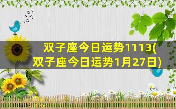 双子座今日运势1113(双子座今日运势1月27日)