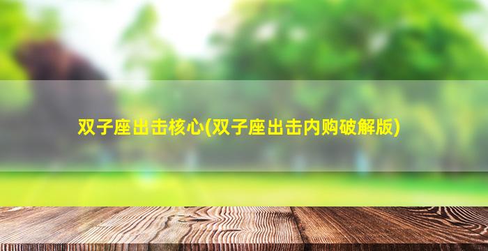 双子座出击核心(双子座出击内购破解版)