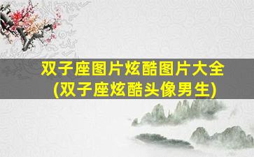 双子座图片炫酷图片大全(双子座炫酷头像男生)