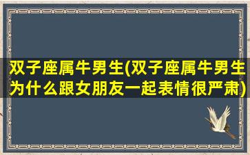 双子座属牛男生(双子座属牛男生为什么跟女朋友一起表情很严肃)