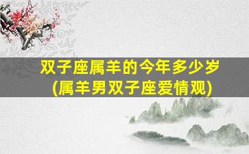 双子座属羊的今年多少岁(属羊男双子座爱情观)