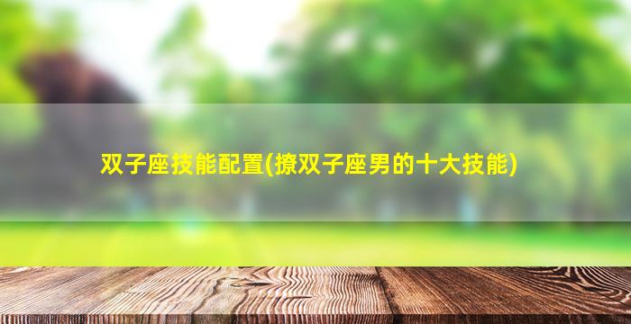 双子座技能配置(撩双子座男的十大技能)