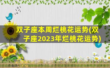 双子座本周烂桃花运势(双子座2023年烂桃花运势)