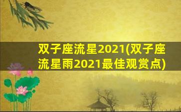 双子座流星2021(双子座流星雨2021最佳观赏点)