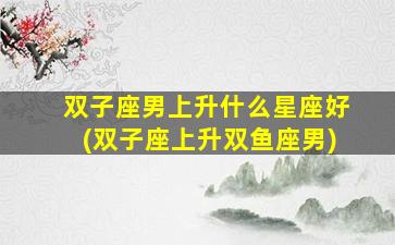 双子座男上升什么星座好(双子座上升双鱼座男)