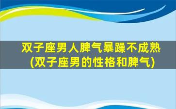 双子座男人脾气暴躁不成熟(双子座男的性格和脾气)