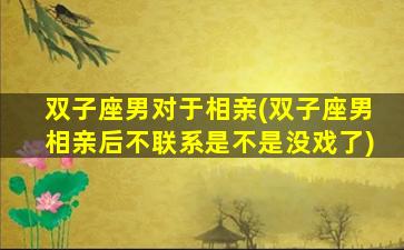 双子座男对于相亲(双子座男相亲后不联系是不是没戏了)