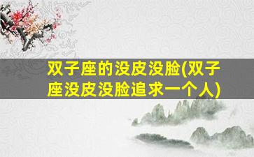 双子座的没皮没脸(双子座没皮没脸追求一个人)