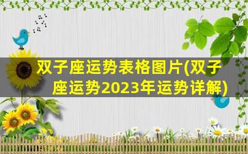 双子座运势表格图片(双子座运势2023年运势详解)