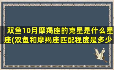 双鱼10月摩羯座的克星是什么星座(双鱼和摩羯座匹配程度是多少)