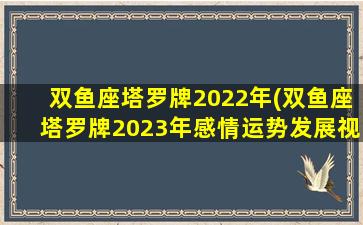 双鱼座塔罗牌2022年(双鱼座塔罗牌2023年感情运势发展视频)