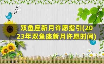 双鱼座新月许愿指引(2023年双鱼座新月许愿时间)