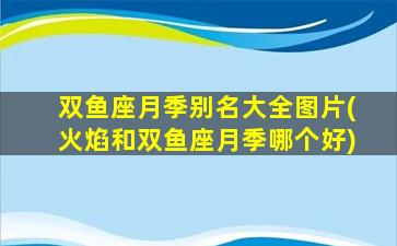 双鱼座月季别名大全图片(火焰和双鱼座月季哪个好)