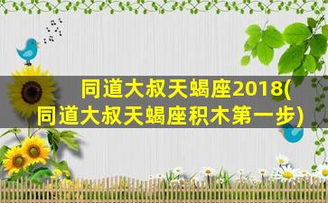 同道大叔天蝎座2018(同道大叔天蝎座积木第一步)