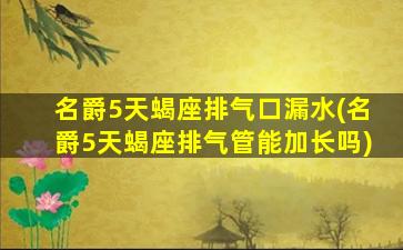 名爵5天蝎座排气口漏水(名爵5天蝎座排气管能加长吗)