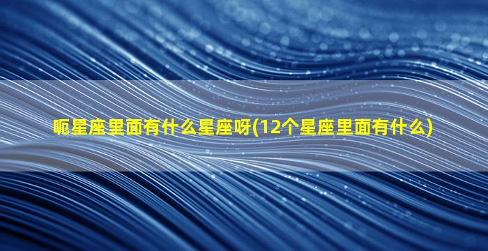 呃星座里面有什么星座呀(12个星座里面有什么)