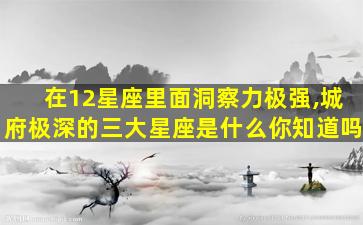 在12星座里面洞察力极强,城府极深的三大星座是什么你知道吗