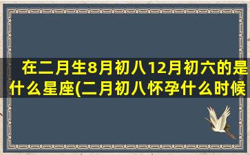 在二月生8月初八12月初六的是什么星座(二月初八怀孕什么时候生)