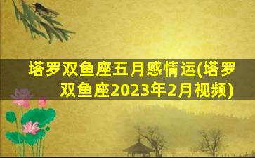 塔罗双鱼座五月感情运(塔罗双鱼座2023年2月视频)