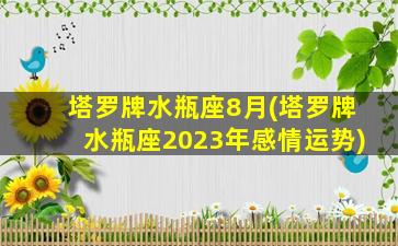 塔罗牌水瓶座8月(塔罗牌水瓶座2023年感情运势)