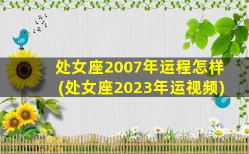 处女座2007年运程怎样(处女座2023年运视频)