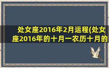 处女座2016年2月运程(处女座2016年的十月一农历十月的元气)