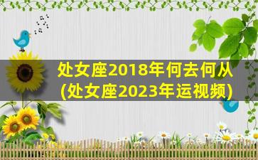 处女座2018年何去何从(处女座2023年运视频)