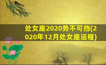 处女座2020势不可挡(2020年12月处女座运程)