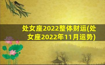 处女座2022整体财运(处女座2022年11月运势)